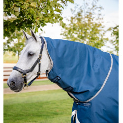 Manta Horseware Ionic Therapy Turnout 100g Bleu imperial / argent /Marine Azul