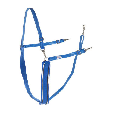 Pechopetral Y Finn-Tack Azul / blanco