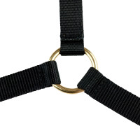 Cabezada de cuero Yankee Finn-Tack Pro Negro / verde oscuro