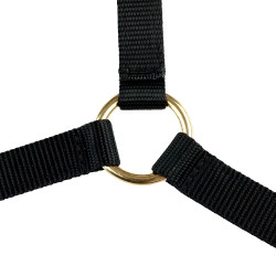 Cabezada de cuero Yankee Finn-Tack Pro Negro