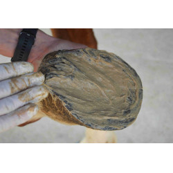 Magic Pies Nutragile Magic Pies Nutragile