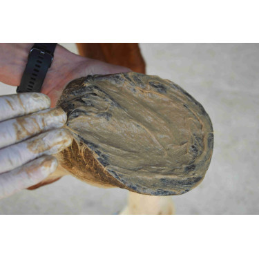 Magic Pies Nutragile Magic Pies Nutragile