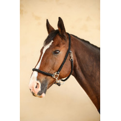 Cabezada Hups Harcour Negro