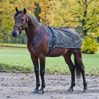 Manta riñonera Enduran Finn-Tack Pro con forro polar Negro / negro