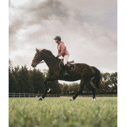 Chaqueta impermeable Raintech Horse Pilot mujer Rosa mesa Chaqueta impermeable Raintech Horse Pilot mujer Rosa mesa