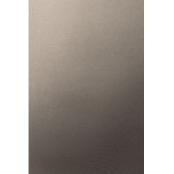 Leggings de equitación B Vertigo Viktoria sin costuras para mujer con grip integral Albahaca caliente Rosa