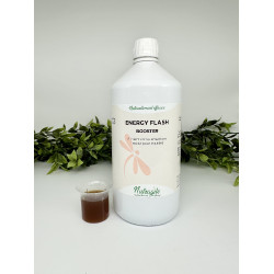Nutragile Energy Flash-Booster Nutragile Energy Flash-Booster