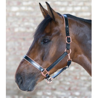 Cabezada de cuero Rosé Waldhausen X-Line Negro