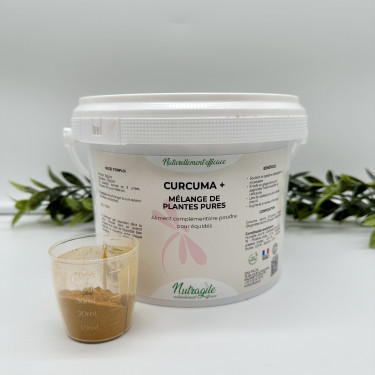 Cúrcuma+ Nutragile Cúrcuma+ Nutragile