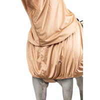 Cobertura anti-UV y anti eccema con solapa ventral y cuello Horze Marrón claro Cobertura anti-UV y anti eccema con solapa ventral y cuello Horze Marrón claro