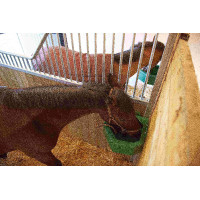 Comedero de esquina 21L La Gée