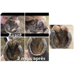 Gel tratante para pudrición severa de las ranillas Ekin Gel tratante para pudrición severa de las ranillas Ekin