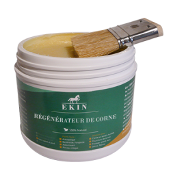 Regenerador de cascos Ekin Regenerador de cascos Ekin