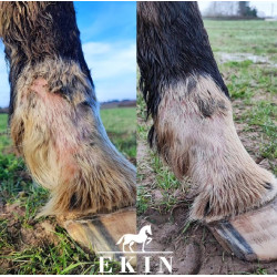 Ungüento anti-grietas para el menudillo Ekin Ungüento anti-grietas para el menudillo Ekin