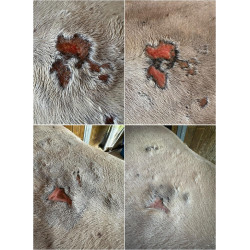 Bálsamo reparador cutáneo Ekin Bálsamo reparador cutáneo Ekin