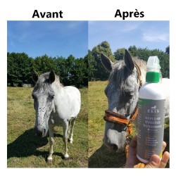 Spray Repelente de insectos Ekin Spray Repelente de insectos Ekin