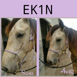 Spray Repelente de insectos Ekin Spray Repelente de insectos Ekin