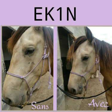 Spray Repelente de insectos Ekin Spray Repelente de insectos Ekin