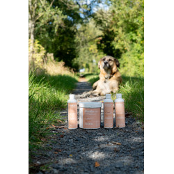 Gel de zinc sensible ALODIS CARE