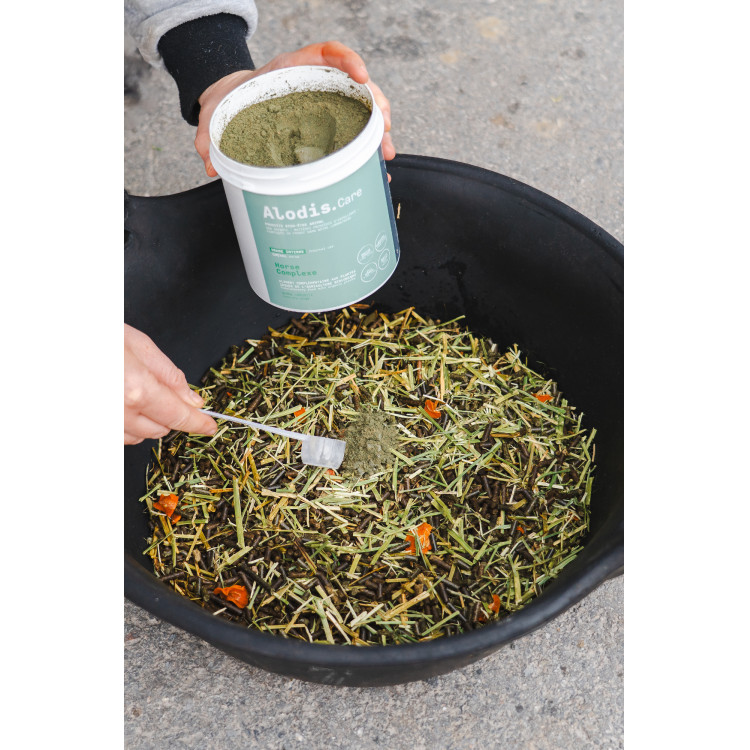 Complemento alimenticio Alodis Care Horse Complexe Complemento alimenticio Alodis Care Horse Complexe