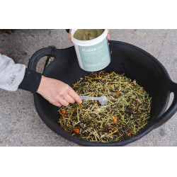 Complemento alimenticio Alodis Care Horse Complexe