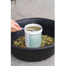 Complemento alimenticio Alodis Care Horse Complexe