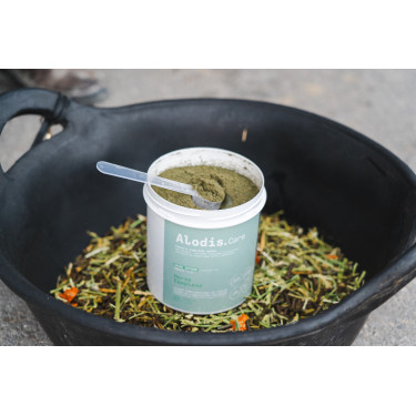 Complemento alimenticio Alodis Care Horse Complexe Complemento alimenticio Alodis Care Horse Complexe