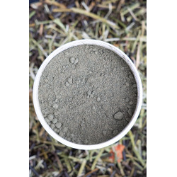 Complemento alimenticio Alodis Care Horse Complexe