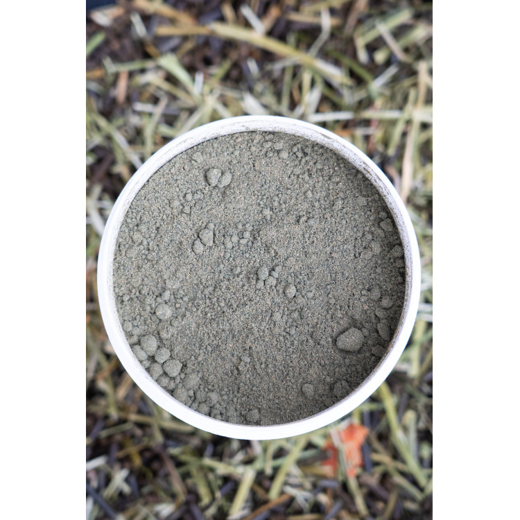 Complemento alimenticio Alodis Care Horse Complexe Complemento alimenticio Alodis Care Horse Complexe