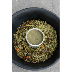 Complemento alimenticio Alodis Care Horse Complexe