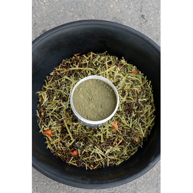 Complemento alimenticio Alodis Care Horse Complexe Complemento alimenticio Alodis Care Horse Complexe