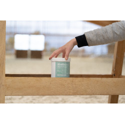 Complemento alimenticio Alodis Care Horse Complexe