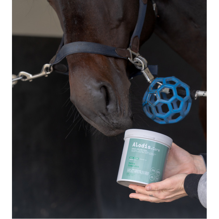 Complemento alimenticio Alodis Care Horse Complexe Complemento alimenticio Alodis Care Horse Complexe
