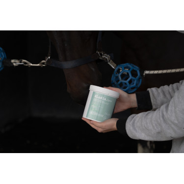 Complemento alimenticio Alodis Care Horse Complexe Complemento alimenticio Alodis Care Horse Complexe