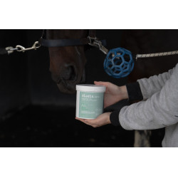 Complemento alimenticio Alodis Care Horse Complexe