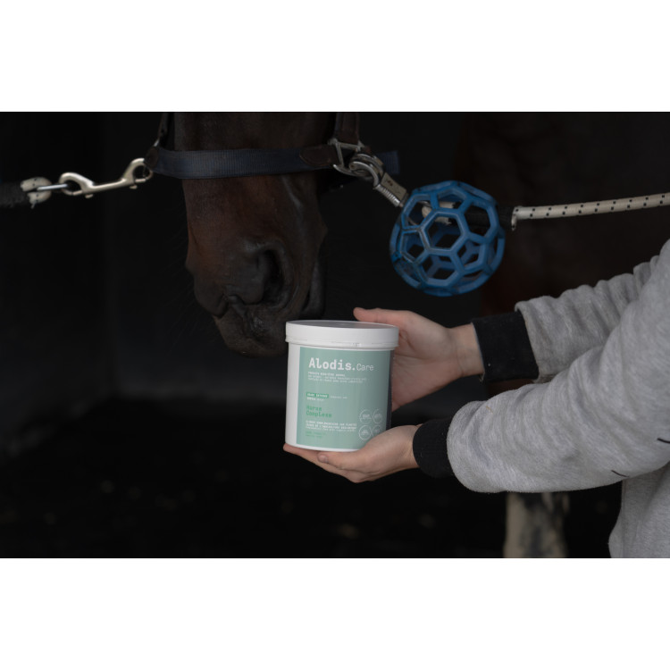 Complemento alimenticio Alodis Care Horse Complexe Complemento alimenticio Alodis Care Horse Complexe