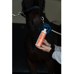 Alimento complementario Alodis Care Acti Muscle