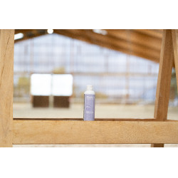 Complemento alimenticio Alodis Care Boost Power Complemento alimenticio Alodis Care Boost Power