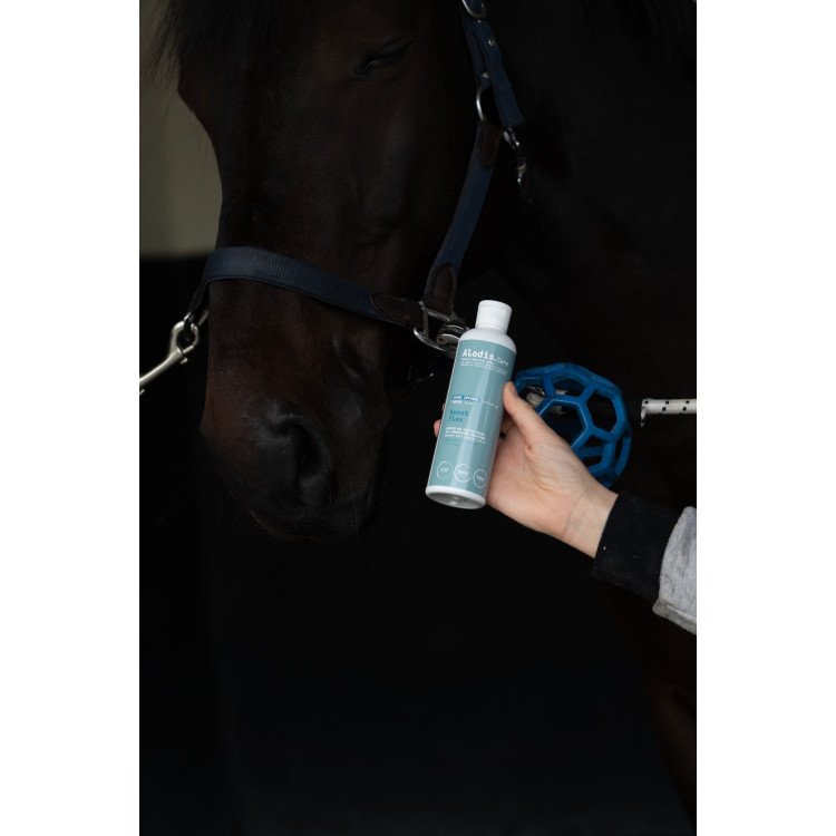 Alimento complementario Alodis Care Boost Flex Alimento complementario Alodis Care Boost Flex