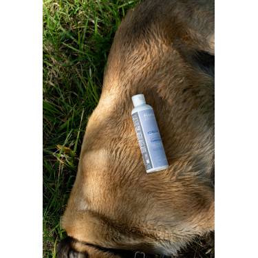 Alimento complementario Alodis Care Cani Complexe para perro Alimento complementario Alodis Care Cani Complexe para perro