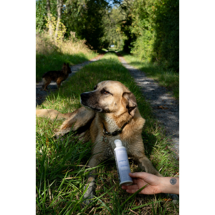 Alimento complementario Alodis Care Cani Complexe para perro Alimento complementario Alodis Care Cani Complexe para perro