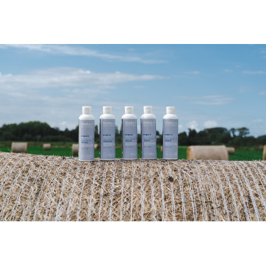 Alimento complementario Alodis Care Cani Complexe para perro Alimento complementario Alodis Care Cani Complexe para perro
