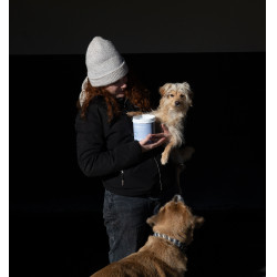 Arcilla Alodis Care Cani Clay para perro Arcilla Alodis Care Cani Clay para perro