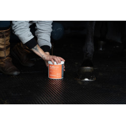 Klei Alodis Care Tendi Flash Klei Alodis Care Tendi Flash