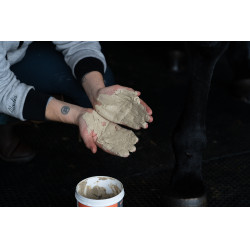 Klei Alodis Care Tendi Flash Klei Alodis Care Tendi Flash