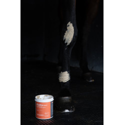 Klei Alodis Care Tendi Flash Klei Alodis Care Tendi Flash