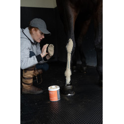 Klei Alodis Care Tendi Flash Klei Alodis Care Tendi Flash