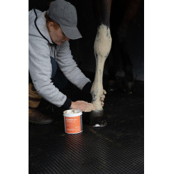 Klei Alodis Care Tendi Flash Klei Alodis Care Tendi Flash