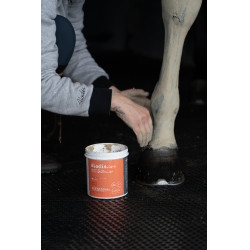 Klei Alodis Care Tendi Flash Klei Alodis Care Tendi Flash