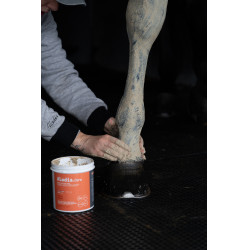 Klei Alodis Care Tendi Flash Klei Alodis Care Tendi Flash